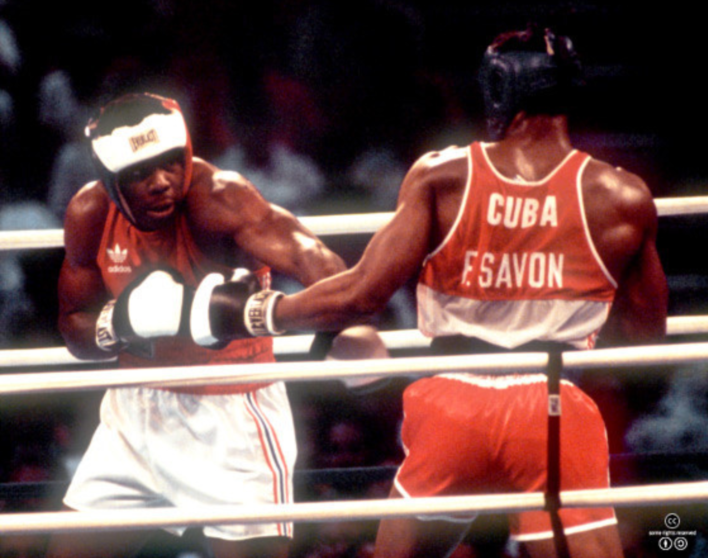 3743823256_ImxyUeDq_952bfea3b8409e9524db9a211bb360cff1197fe6.png 이미지크게보기