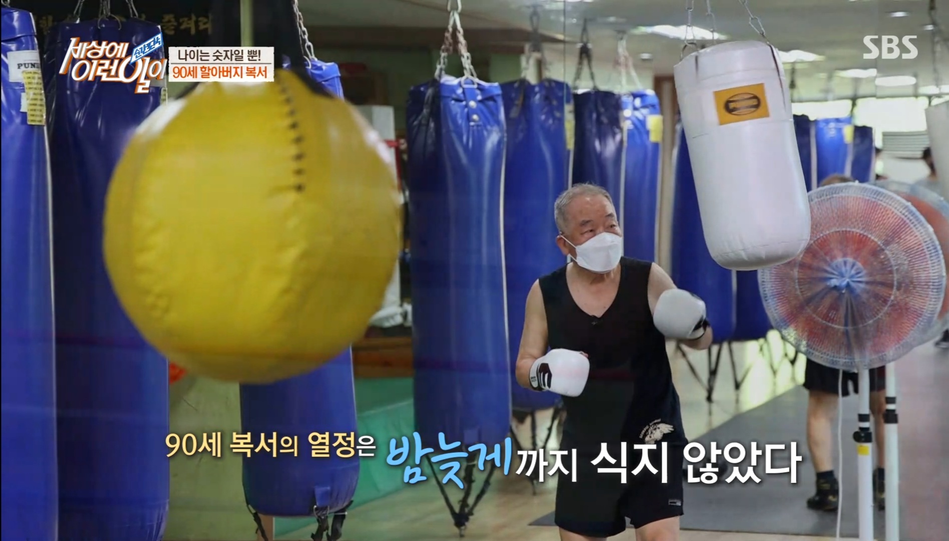 3555374273_NmGD0bds_edcfbedd85088e284fa0fe90c910c0a6e4e34b24.jpg 이미지크게보기